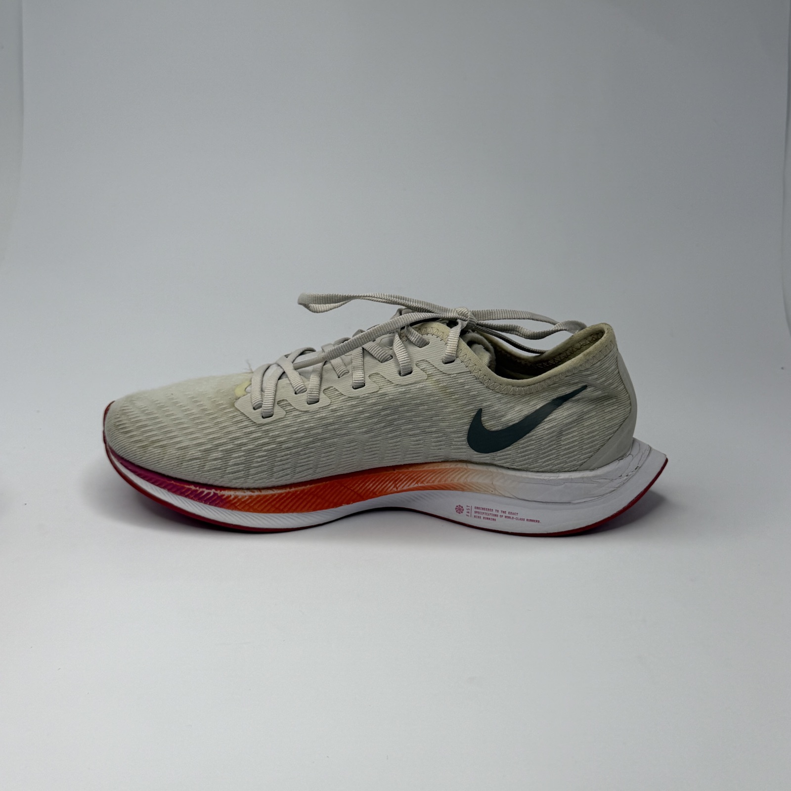 zoom pegasus 